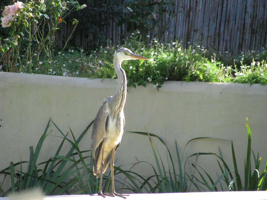 Отель De Langenhof Riebeek-West Экстерьер фото